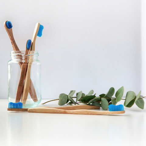 Blue tooth brushes in glass jar with plant